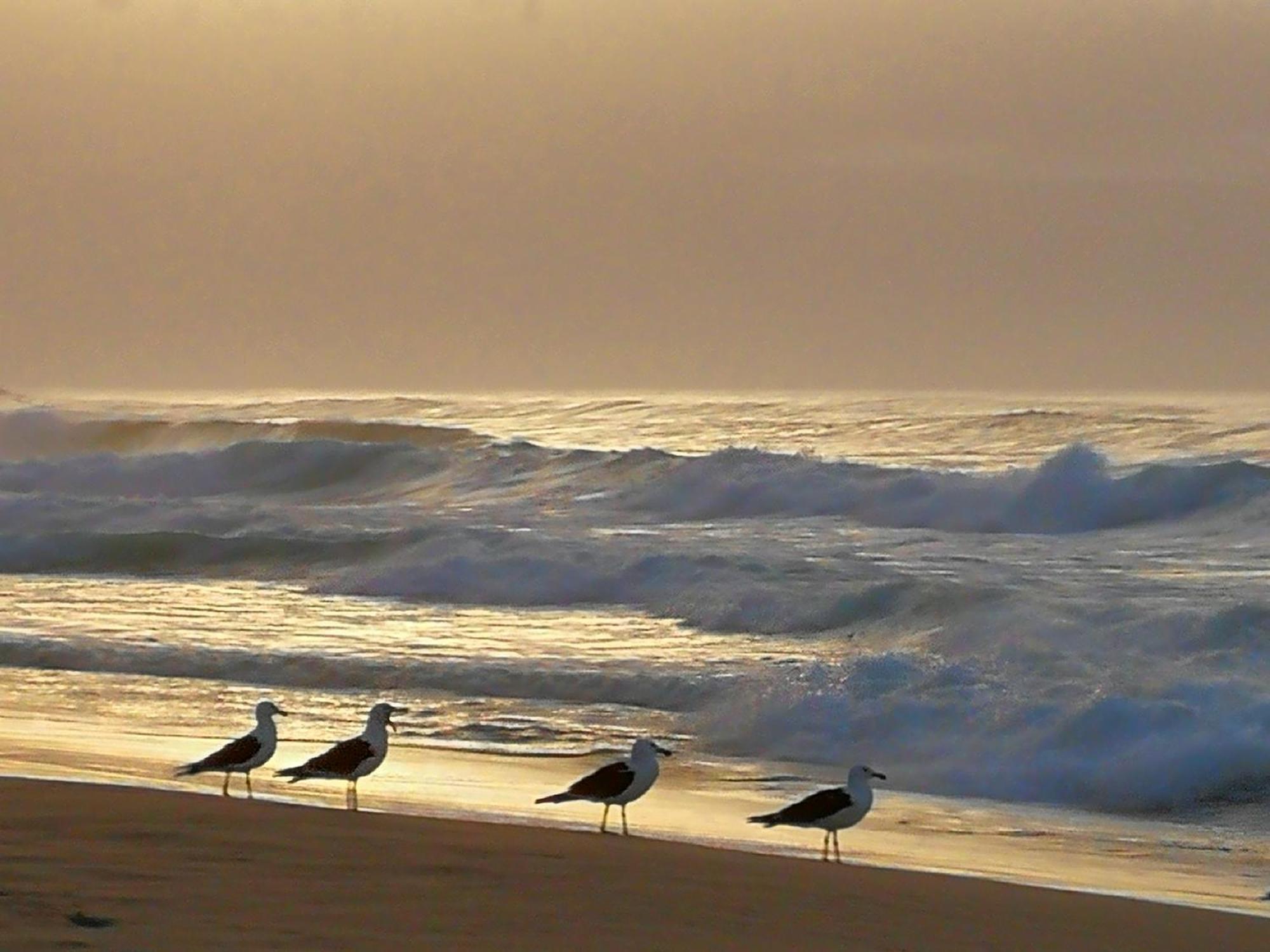 Jojo'S Bnb Mossel Bay Exterior photo